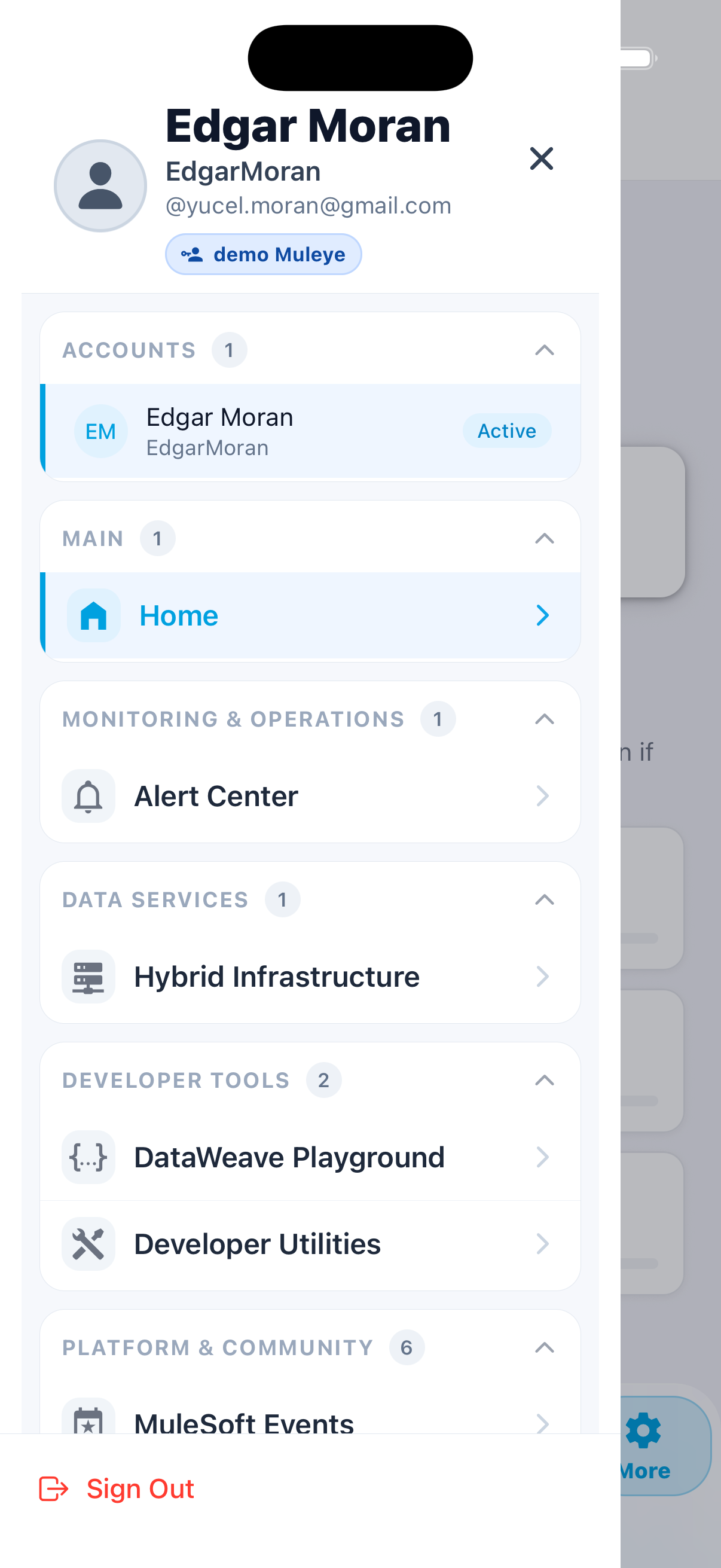 Incident Detail screenshot